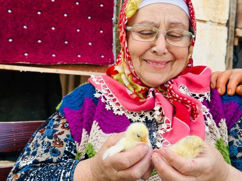 Galeri fotoğrafı 2