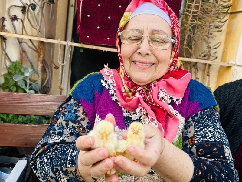 Galeri fotoğrafı 4
