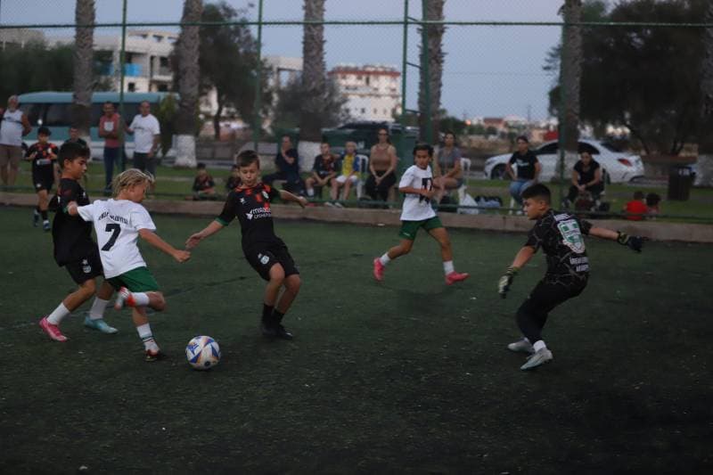 Galeri fotoğrafı 12