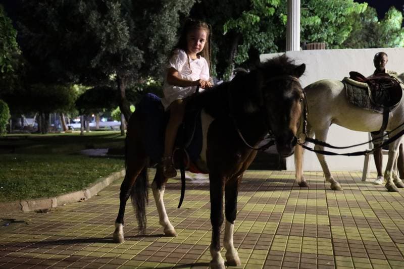 Galeri fotoğrafı 19