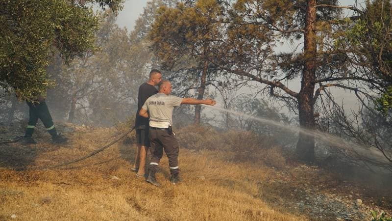 Galeri fotoğrafı 4