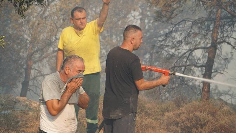 Galeri fotoğrafı 11