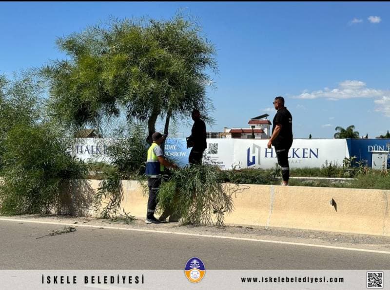 Galeri fotoğrafı 2