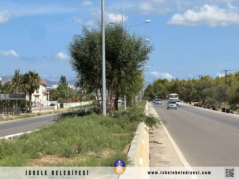 Galeri fotoğrafı 8