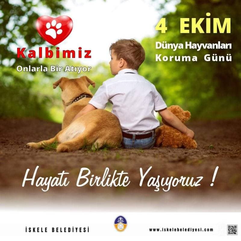 Galeri fotoğrafı 1