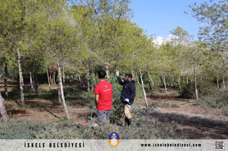 Galeri fotoğrafı 1