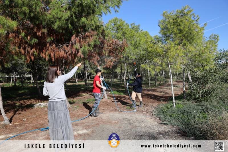 Galeri fotoğrafı 4