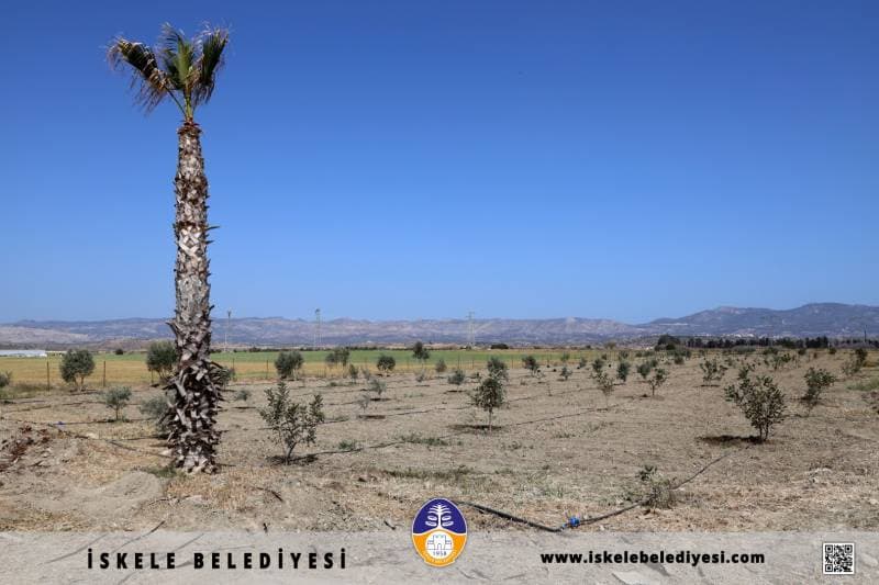 Galeri fotoğrafı 2