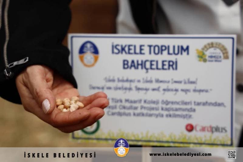 Galeri fotoğrafı 2