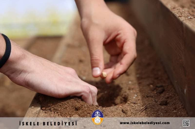 Galeri fotoğrafı 3