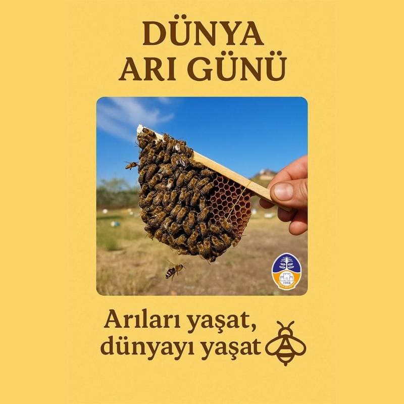 Galeri fotoğrafı 1