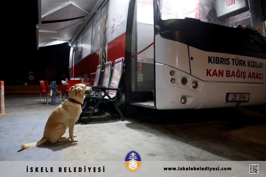 BELLA'NIN SADAKATİ YÜREĞİMİZİ ISITTI