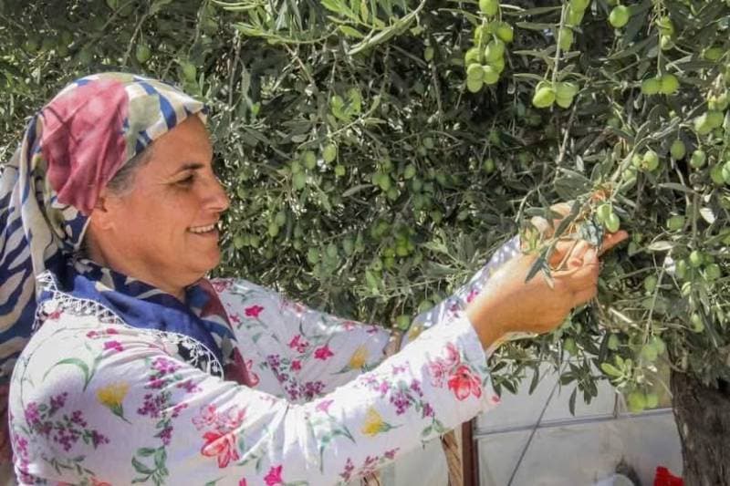 Galeri fotoğrafı 1