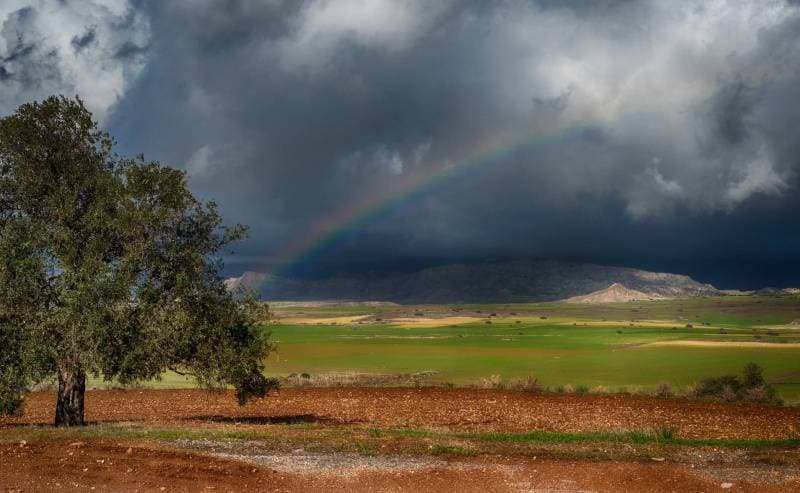 Galeri fotoğrafı 1