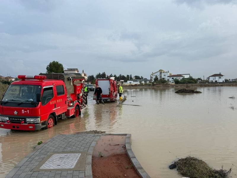 Galeri fotoğrafı 4