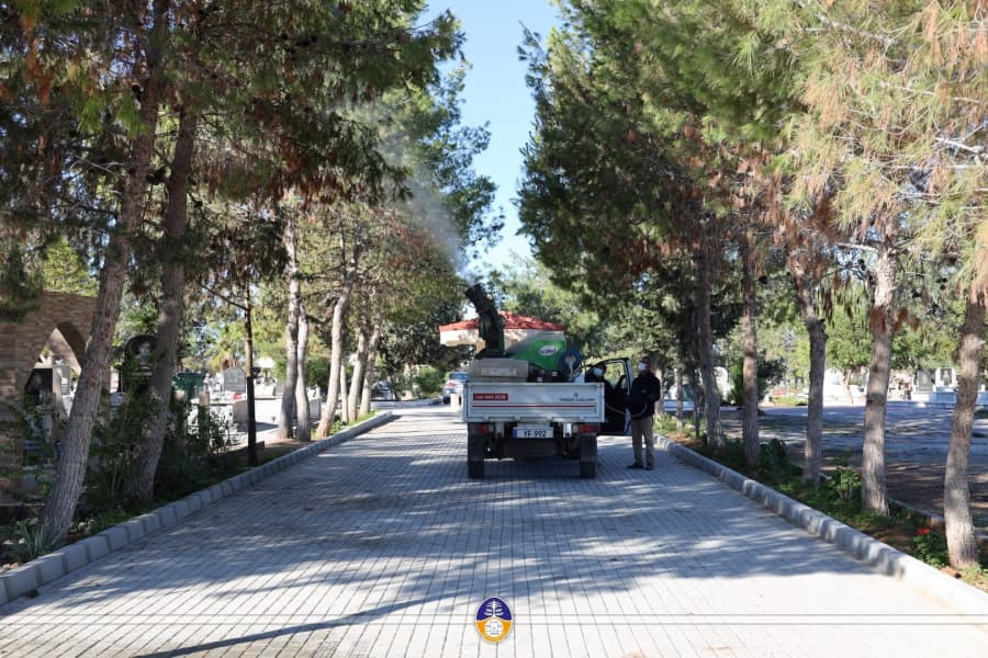 ÇAM KESE BÖCEĞİ İLE MÜCADELEMİZ BAŞLADI
