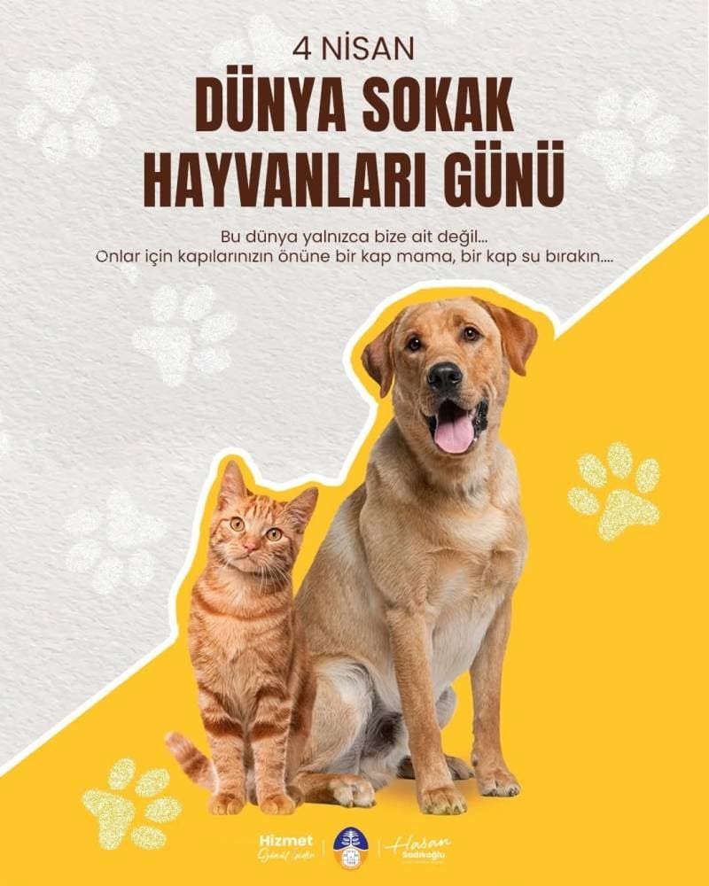 Galeri fotoğrafı 1