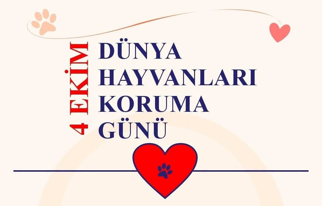 Her can değerlidir, her can sevgiye layıktır.