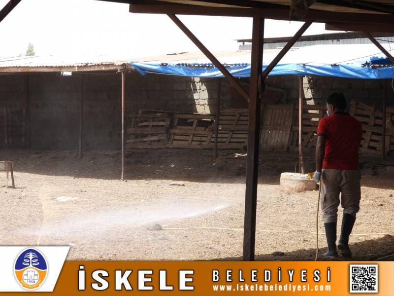 Galeri fotoğrafı 5