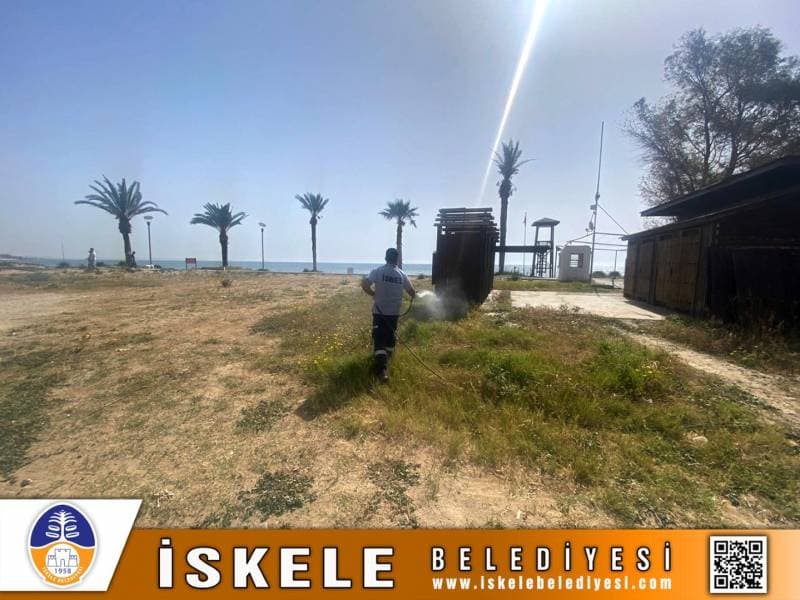 Galeri fotoğrafı 2