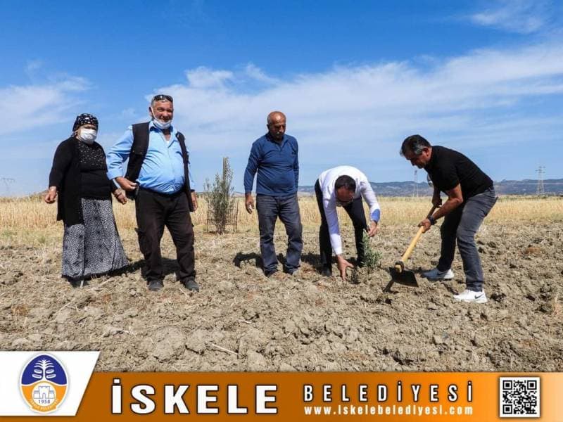 Galeri fotoğrafı 5