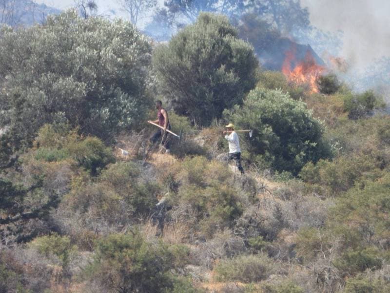 Galeri fotoğrafı 3