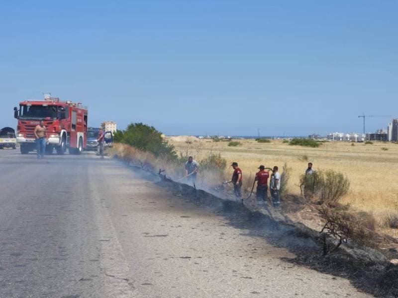 Galeri fotoğrafı 4