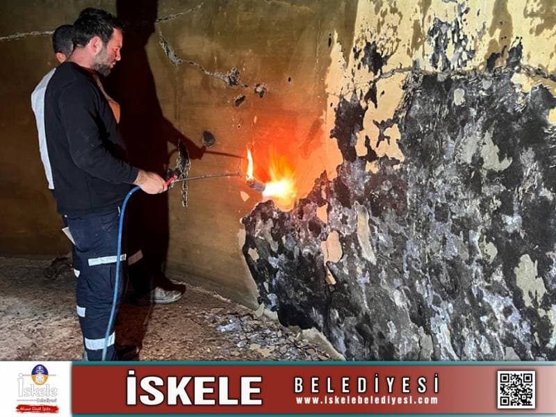 Galeri fotoğrafı 3