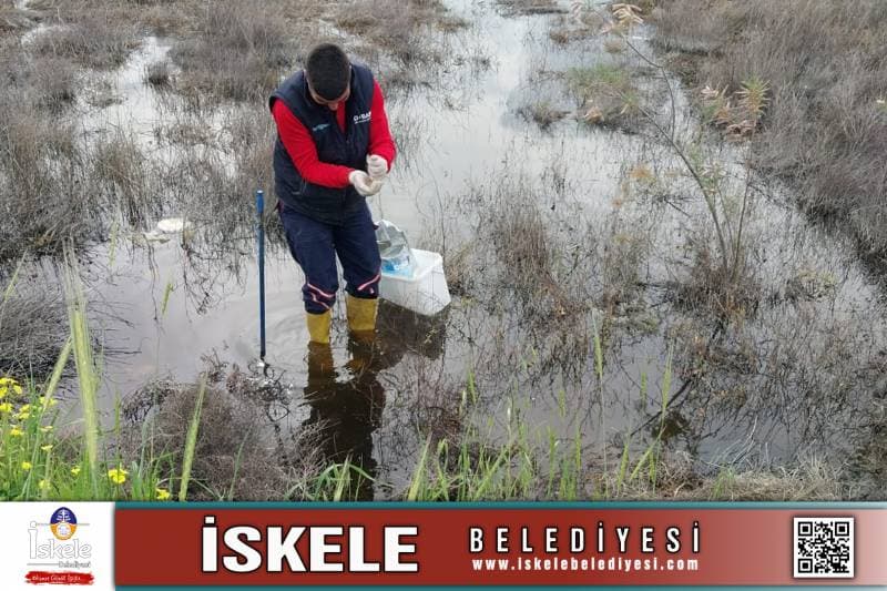 Galeri fotoğrafı 1
