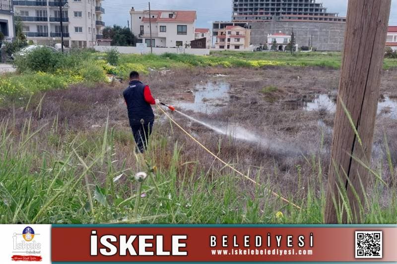 Galeri fotoğrafı 2