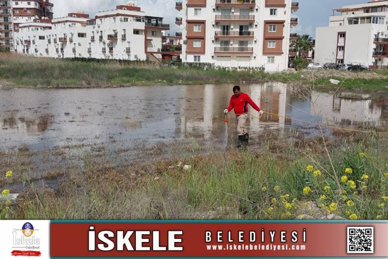 Galeri fotoğrafı 7