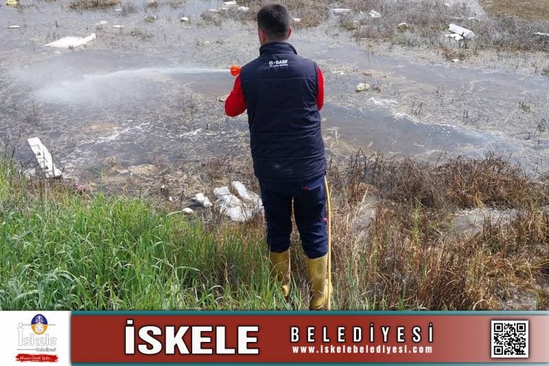 Galeri fotoğrafı 8