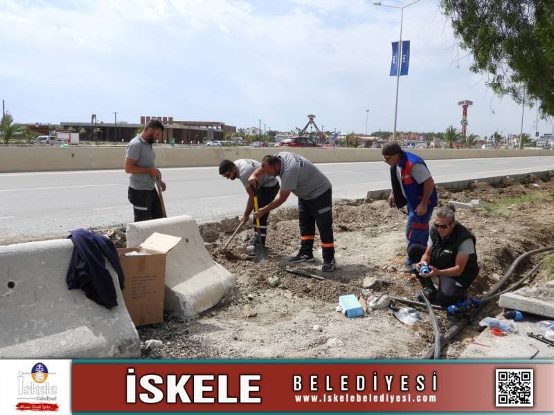 Galeri fotoğrafı 4