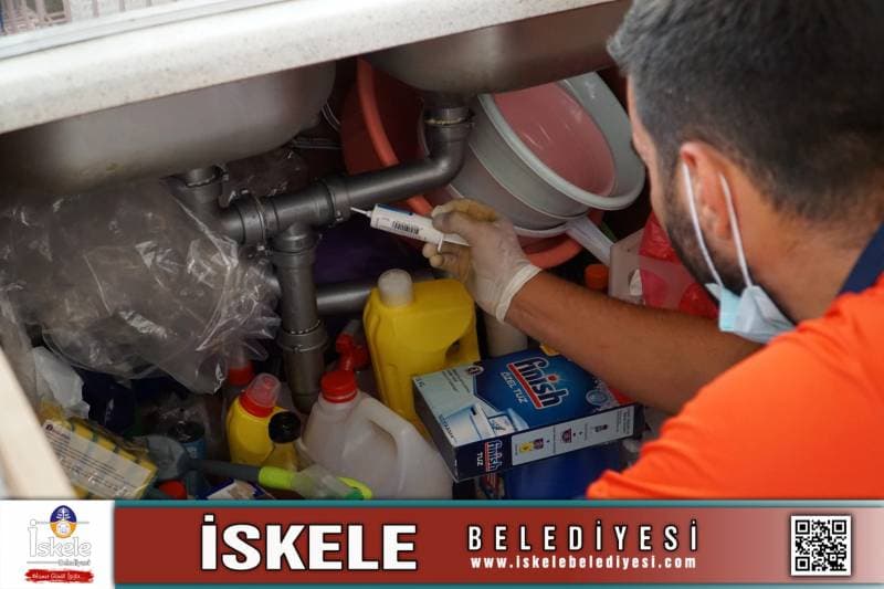 Galeri fotoğrafı 1