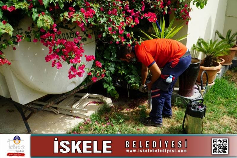 Galeri fotoğrafı 2