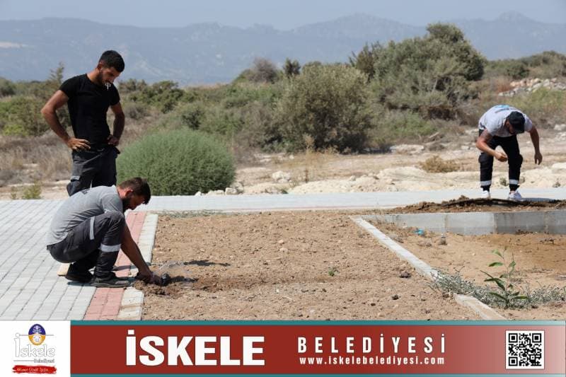 Galeri fotoğrafı 2