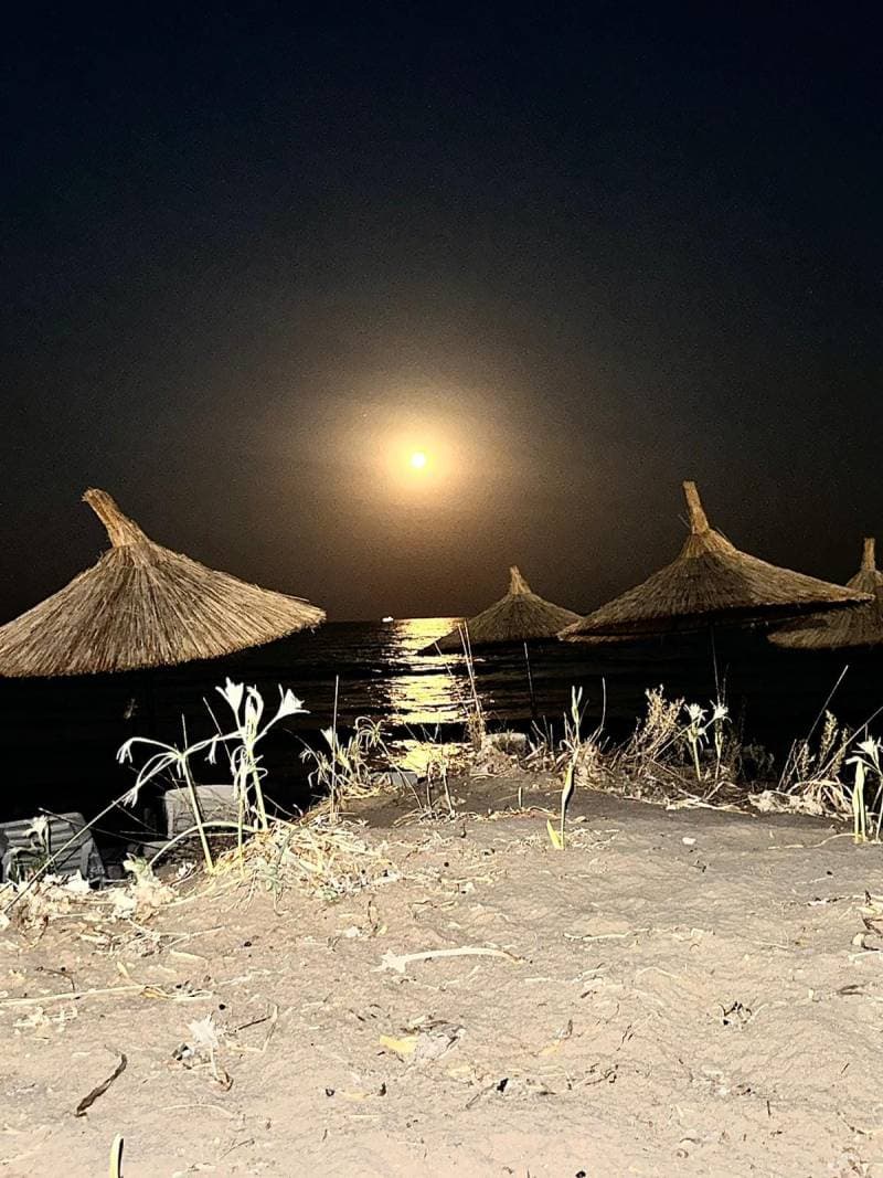 Galeri fotoğrafı 1