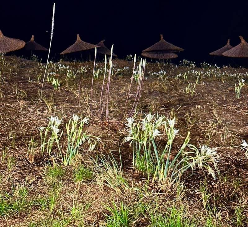 Galeri fotoğrafı 2